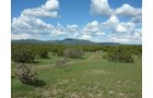 Property photo 7 - 7,320 Acres Offered in 5 Tracts